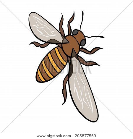 A bee, a hymenopteran insect. Stinging insect bee single icon in cartoon style vector symbol stock isometric illustration .