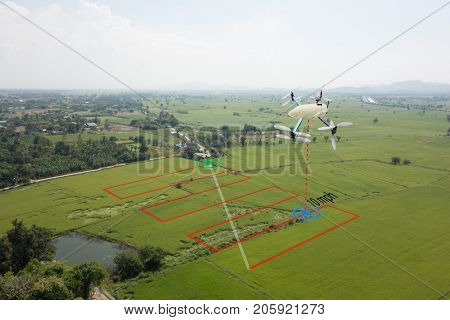 smart farming concept drone use a technology in agriculture with artificial intelligence to measure the area photographer and fly follow the line and send the data back to farmer in cloud system