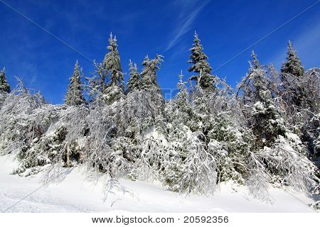 Winterlandschaft