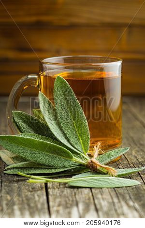 Sage tea and sage leaves. Infusion made from sage leaves. Medicinal  herb Salvia officinalis.