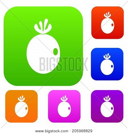 Feijoa fruit set icon color in flat style isolated on white. Collection sings vector illustration