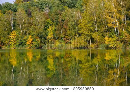Multicolor autumn trees reflecting in the lake.