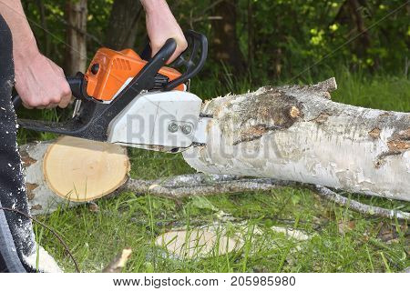 Man cuts tree with chainsaw. A man in a camouflage suit protective boots and gloves saws chainsaw old rotten tree in the forest. Next lay cut pieces of wood and splinters. Chainsaw flying chips and sawdust.