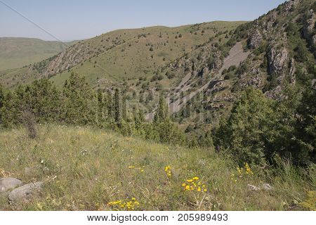 beautiful nature. Mountains in Kazakhstan . In the park in nature