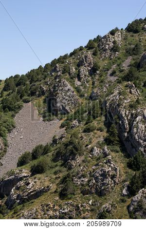 beautiful nature. Mountains in Kazakhstan . In the park in nature