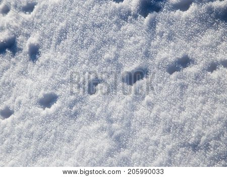 spoor in the snow . In the park in nature