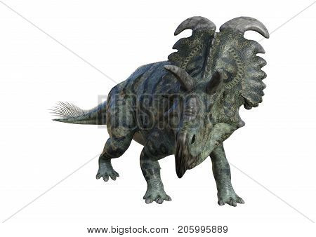 3D Rendering Dinosaur Albertaceratops On White