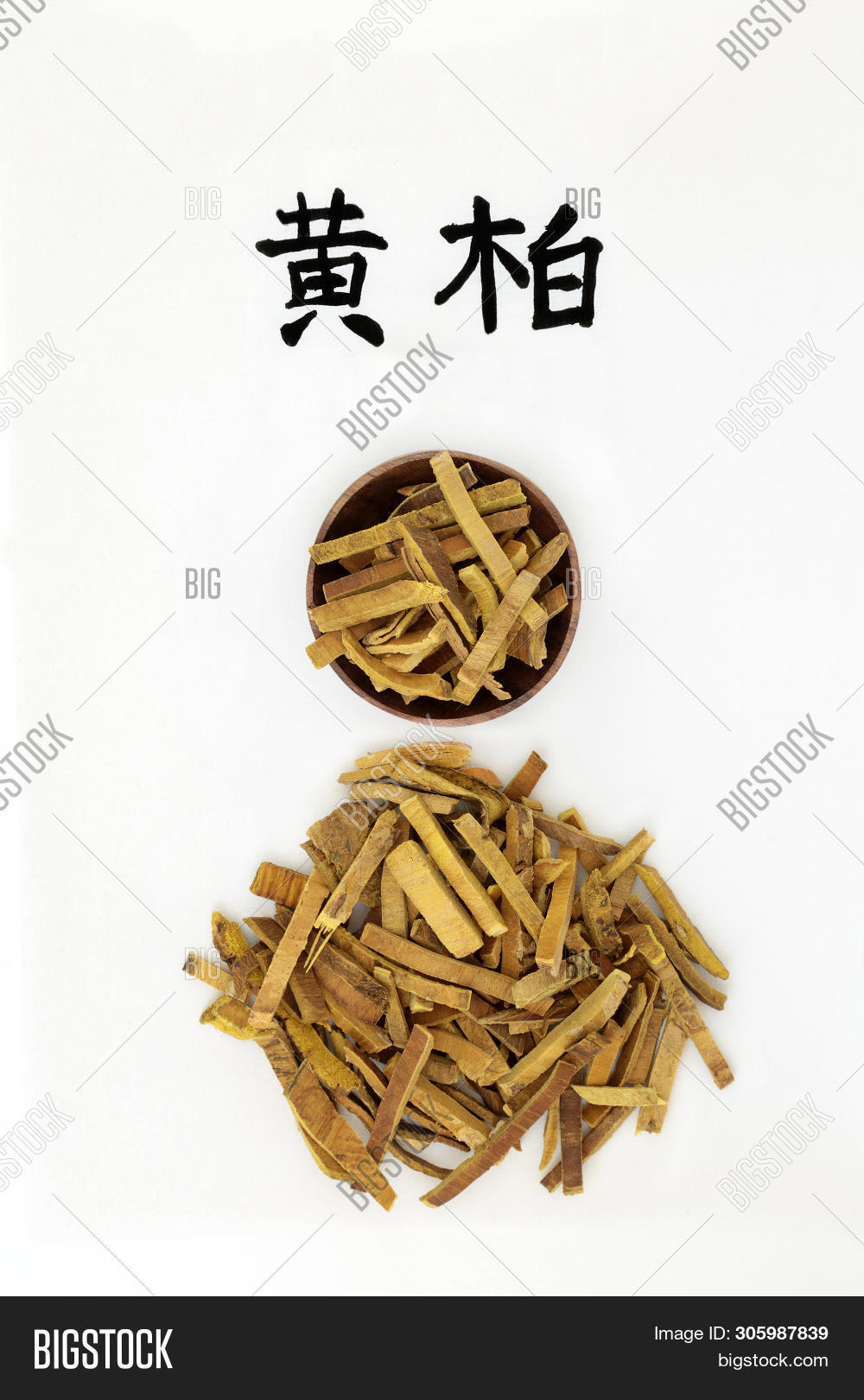 Amur Cork Tree Bark Image & Photo (Free Trial) Bigstock