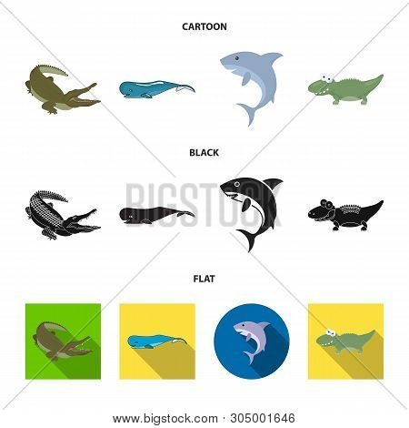 Vector Illustration Of Sea And Ocean Sign. Set Of Sea And Reptiles Vector Icon For Stock.