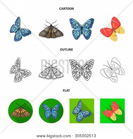 Vector Illustration Of Color And Spring Logo. Collection Of Color And Fly Vector Icon For Stock.