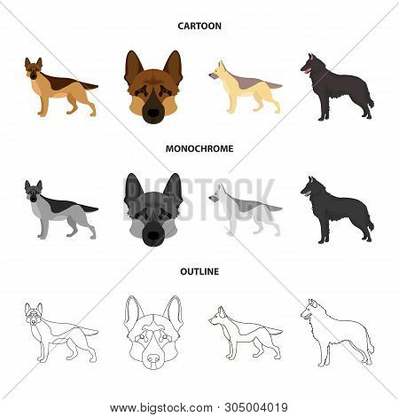 Vector Design Of Sheepdog And Sheltie Icon. Collection Of Sheepdog And Shepherd Vector Icon For Stoc