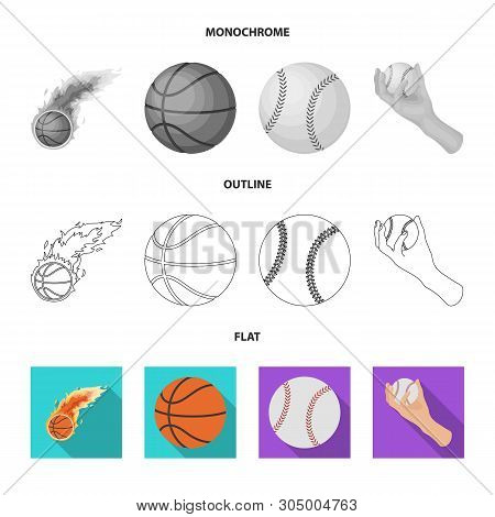 Vector Design Of Ball And Soccer Sign. Collection Of Ball And Basketball Vector Icon For Stock.