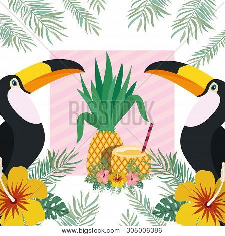 Pattern Of Toucan And Summer Flower Vector Illustration Design