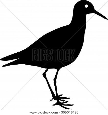Sandpiper Bird Black Vector Silhouette Clip Art