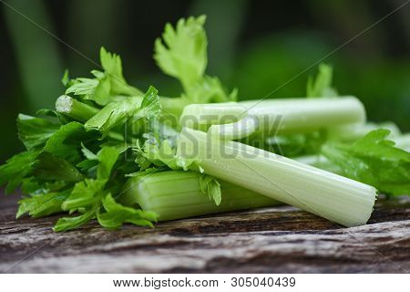 Fresh Celery Vegetable / Bunch Of Celery Stalk With Leaves On Wood And Nature Green Background