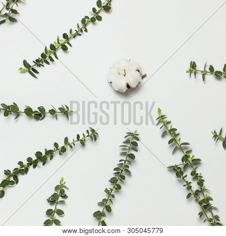 Spring Green Twigs Of Plants On Gray Background Top View Flat Lay Copy Space. Decorative Plant Branc