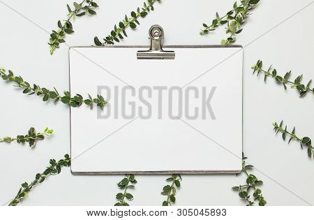 Blank White Paper With Folder And Metal Clothespin, Spring Green Twigs Of Plants On Gray Background