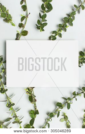 Blank White Paper And Spring Green Twigs Of Plants On Gray Background Top View Flat Lay Copy Space.