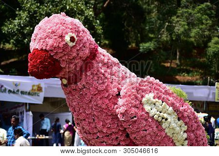 Kodaikanal, Tamilnadu, India - June 2, 2019: Parrot Statue Made With Flowers At The 58th Flower Show