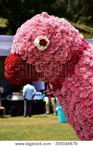 Kodaikanal, Tamilnadu, India - June 2, 2019: Parrot Statue Made With Flowers At The 58th Flower Show