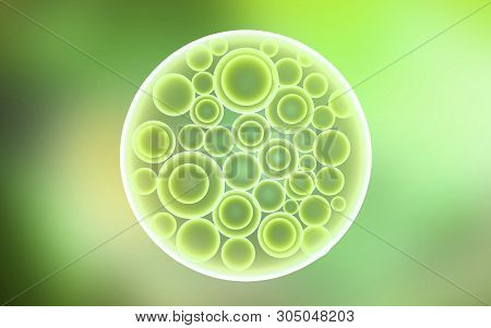 3d Rendered Digital Illustration Of Blastocyst In Colour Background