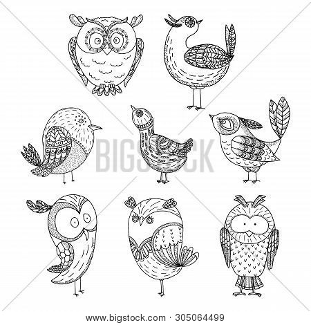Doodle Birds Set. Hand Drawn Amasing Birds On White Background.