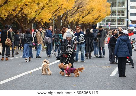 Tokyo, Japan - November 30, 2016: People Celebrate Ginkgo Avenue Autumn Foliage In Tokyo, Japan. Ich