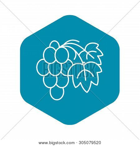 Cabernet Grape Icon. Outline Cabernet Grape Vector Icon For Web Design Isolated On White Background