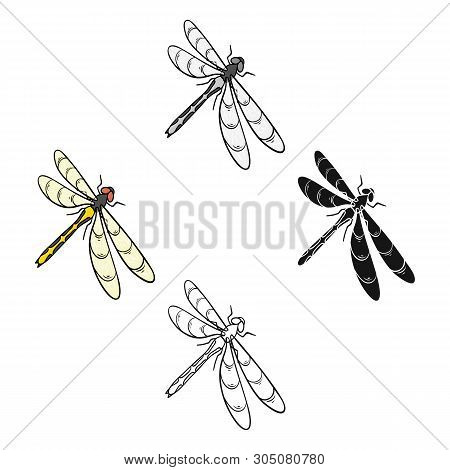 A Dragonfly, A Predatory Insect.dragonfly Flying Invertebrate Insect Single Icon In Cartoon, Black S
