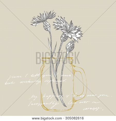 Blue Cornflower Herb Or Bachelor Button Flower Bouquet Isolated On White Background. Set Of Drawing 