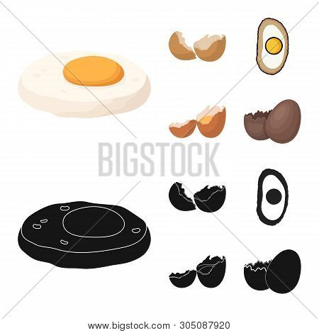Vector Illustration Of Elephant And Asian Sign. Collection Of Elephant And Elephant Stock Symbol For
