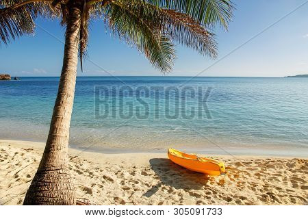 Sea Kayak On The Beach Near Palm Tree, Nacula Island, Yasawas, Fiji