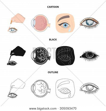 Vector Design Of Medical And Eyeball Icon. Collection Of Medical And Optical Stock Vector Illustrati