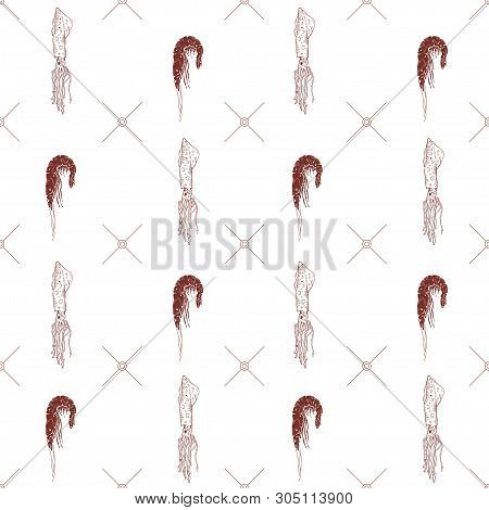 Seamless Pattern With Shrimps And Squids On A White Background. Vector Illustration