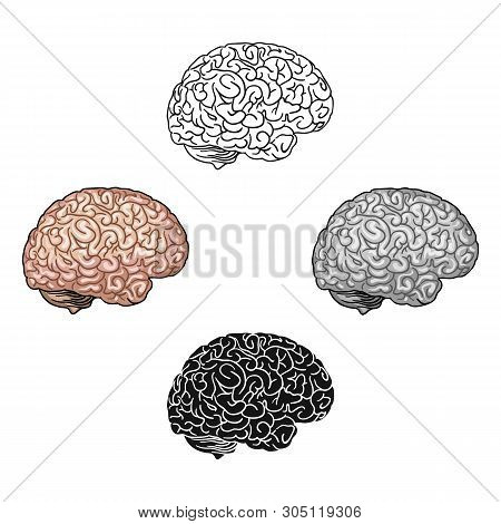 Human Brain Icon In Cartoon, Black Style Isolated On White Background. Human Organs Symbol Stock Vec