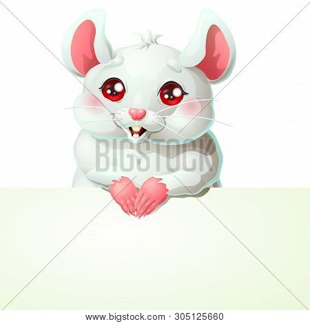 Cute White Mouse And Banner On White