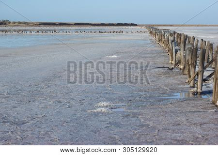 Place Of Production Of Food Sea Salt - Plant