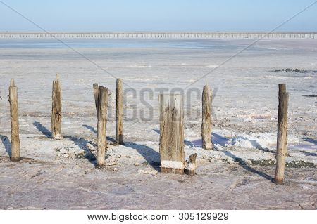 Place Of Production Of Food Sea Salt - Plant