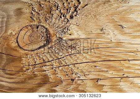 The Texture Of The Polished Cut Of A Tree In Brown Tones. The Cut Of The Board Of The Sawn Wood. Nat