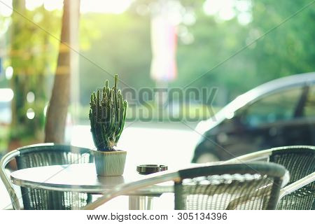 Green Flower In Black Pot On Table Outdoor Resterant