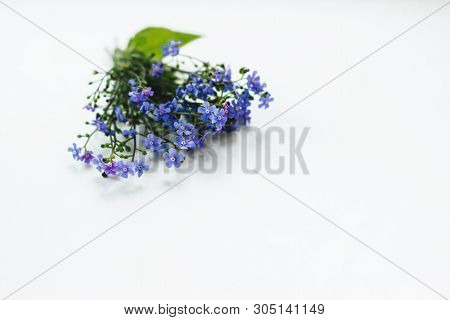 A Small Cute Bouquet Of Blue Forget-me-nots Lies On A White Table. Selective Focus. There Is Room Fo