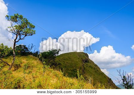 Beautiful View From Mountain Green Valley Stream Landscape To River And Clouds On The Blue Sky, Khao