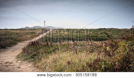 View Of The Wild Vegetation Of The Cross Of The Tip Of Chatelet On The Island Of Yeu