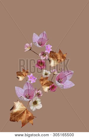 Flowers And Leaves Flying In The Air