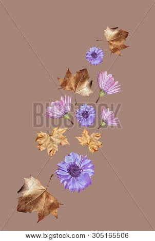 Flowers And Leaves Flying In The Air