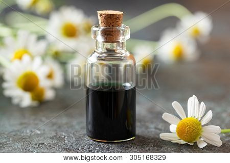 A Bottle Of Dark Blue German Chamomile Essential Oil And Fresh Flowers