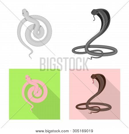 Vector Design Of Mammal And Danger Sign. Set Of Mammal And Medicine Stock Vector Illustration.