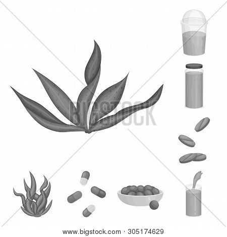 Vector Illustration Of Plant And Weed Sign. Set Of Plant And Sea Vector Icon For Stock.