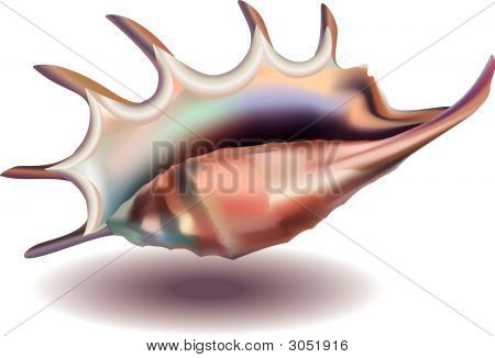 Shell