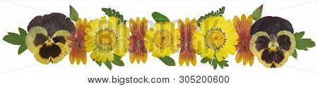 Bouquet Of Dried Pressed Flowers Isolated On White Background. For Use In Floristics, Scrapbooking A